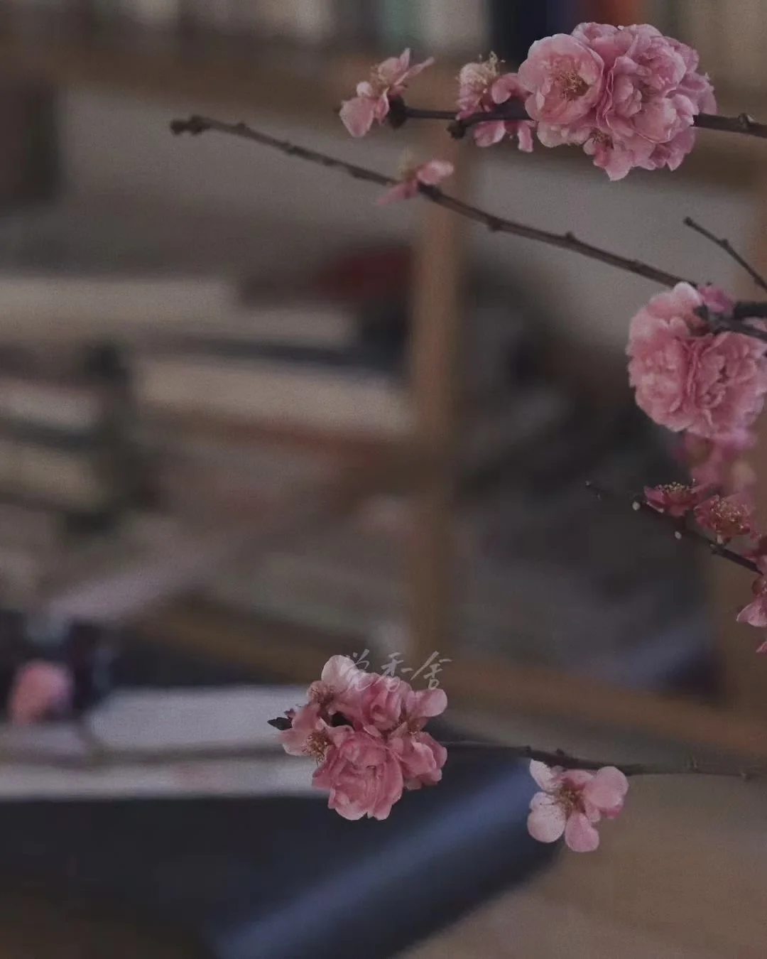 Quiet Awakening — Plum image 5