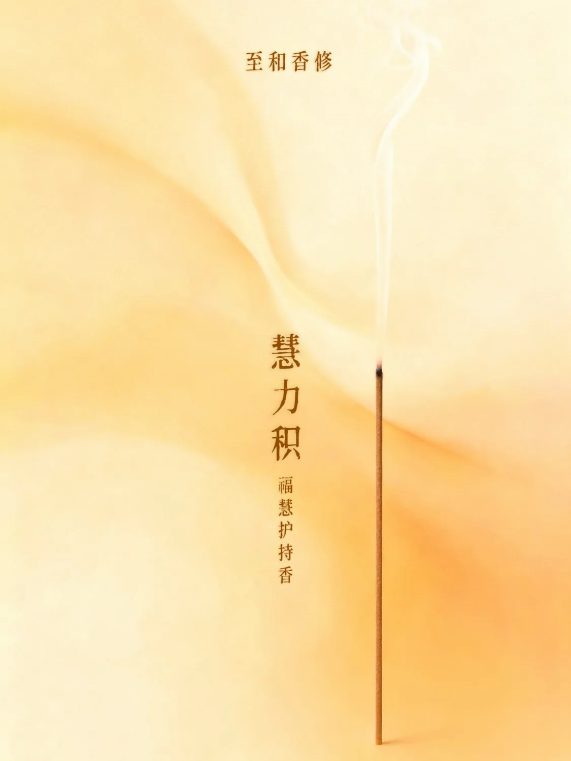 Accumulated Wisdom image 4